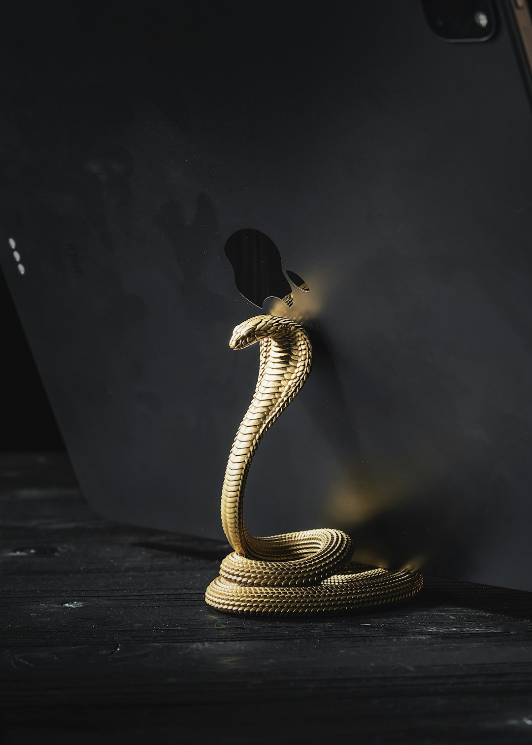 AI Content Creation Bundle